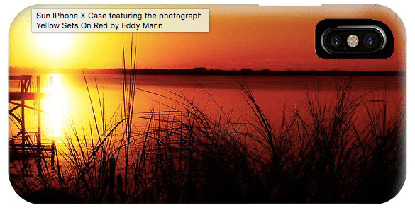 Screen Shot 2019-06-12 at 12.03.41 PM