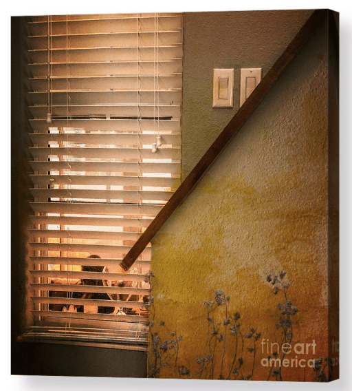 Screen Shot 2020-02-16 at 2.24.20 PM