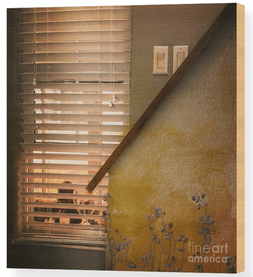 Screen Shot 2020-02-16 at 2.24.46 PM